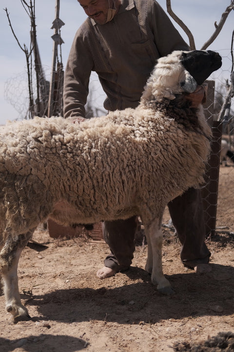 Why is raw wool more sustainable than industrial wool?