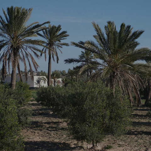 TUNIQ is now a part of the Muslim Environmental Justice Directory