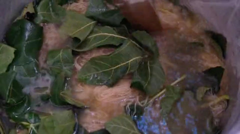 Dyeing Wool with Plants and Herbs