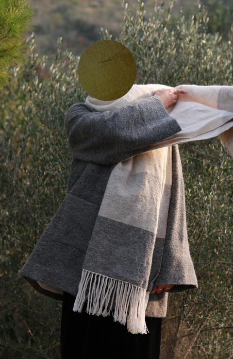 The Asymmetric Cloak | T.XII