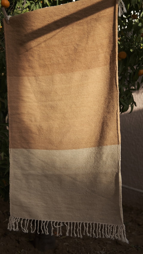 Plant-Dyed Walnut Rug