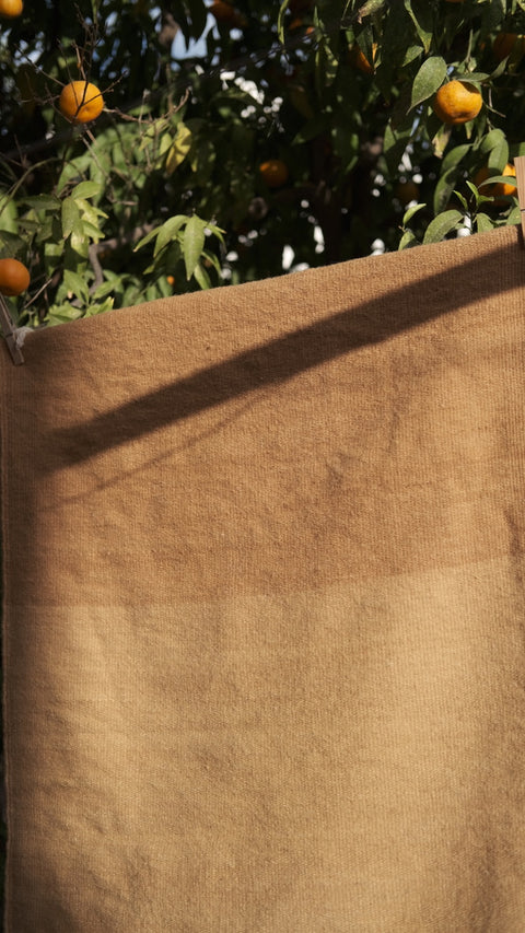 Plant-Dyed Walnut Rug